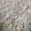 Cooksnap από fotini.28 στη συνταγή Σπαγγέτι με φρέσκο σολομό και μπρόκολο