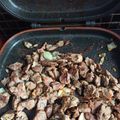 Cooksnap dari Ties ariasetia untuk resep Sate Domba Afrika