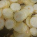 Cooksnap dari farryn istiqomah untuk resep 377. Danmuji | Yellow Pickled Radish | Acar Lobak Kuning
