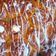 El cooksnap de Cook_and_Jud cuando hizo Cinnamon Rolls (rollos de canela).