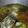 Cooksnap dari Bintu Tsaniyah untuk resep Sop Ikan ala Chinese Food