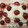 El cooksnap de alexis cuando hizo Ensalada de arroz y frutas con pavo y atún.