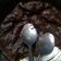 Cooksnap dari Diah Ajah untuk resep Brownis kukus simpel