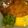 Cooksnap dari Bernike Erni untuk resep Steak tempe sederhana