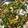 Preety's cooksnap of when they made Matar poha.