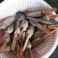 Cooksnap dari Dapurkuna untuk resep Sempol Ayam Kress