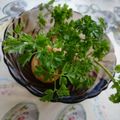 Katalin Király Cooksnap-ja, amikor elkészítette a(z) Zöldségzöld 🌿 receptet.