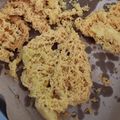 Cooksnap dari Swasty untuk resep Kremesan Anti Gagal Gurih Kriuk