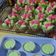 Cooksnap dari Aeny Poenya ( 7540416) untuk resep Bolu Kukus Semangka