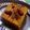 Falguni Shah's cooksnap of when they made અચાર મસાલા ગ્રીલ સેન્ડવીચ (Achar masala grill sandwich in Gujarati.).