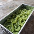 Cooksnap dari Nina Daryanti untuk resep Cendol Nutrijell