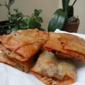 Cooksnap dari Ummu Karim untuk resep Lumpia Sayur Daging Sapi