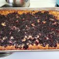 michrhon's cooksnap of when they made Blackberry Cobbler.