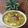 Tandra Nath's cooksnap of when they made মাছের মাথা দিয়ে মুগের ডাল(macher matha diye moonger dal recipe in Bengali).