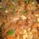 Cooksnap dari mayanksetya untuk resep Bihun goreng praktis lezat