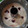 El cooksnap de lili cuando hizo Budín de avena y coco.