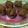 Cooksnap dari ayunabillarumaropen untuk resep Brownis kukus Ny. Liem