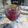 El cooksnap de Paola Chan cuando hizo Daiquiri de frutas.