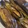 Cooksnap dari Aulia Ar untuk resep Pepes ikan bilis aceh (payeh eungkot bileh)