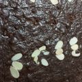 Cooksnap dari Rosa Ria untuk resep Tips brownies fudgy anti gagal dengan oven tangkring