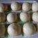 Cooksnap dari Sari Lameera untuk resep Bakpau Super Lembut,Praktis&Ekonomis