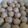 Cooksnap dari Fitria's Kitchen untuk resep Bakso Tempe