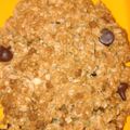 El cooksnap de Mel cuando hizo Cookies de avena y coco sin manteca con chips.