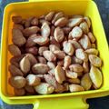 Cooksnap dari Fitria untuk resep Biji ketapang renyah