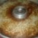Cooksnap dariYayah Rukoyah Nasir untuk resep Bolu pisang panggang sederhana