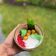 Cooksnap dari Cooking Act By Dinart untuk resep Es Loder khas Bogor
