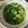 Cooksnap FZ Adzlin semasa beliau membuat Sawi Tumis Air.