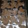 El cooksnap de marisel cuando hizo Galletitas de dulce de leche.