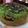 Cooksnap dari Anda untuk resep Bolu pandan hemat magic (com)