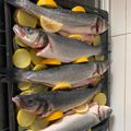 El cooksnap de David León Navarro cuando hizo Lubina al horno.