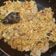 Cooksnap dari siti sofiyah untuk resep Ayam suwir pedas manis