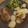 Erica Conaway's cooksnap of when they made Brown sugar and cinnamon pork chops.