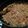 El cooksnap de Alejandrina cuando hizo Wok - Chaw Fan.