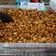 Cooksnap dari Swtr Mira untuk resep Kacang Pedas