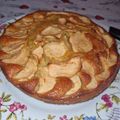 El cooksnap de Estefania Gallegos Camacho cuando hizo Tarta de manzana.
