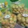 Cooksnap dari Tity Nurhidayani untuk resep Nastar glowing(Fatma Bahalwan)