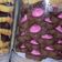 Cooksnap dari Rusma Nita untuk resep Kue kering Coklat (kue lebaran kekinian)