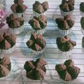 Cooksnap dari Lulus Ut untuk resep Brownies kukus tepung beras (eggless)