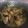 Cooksnap dari Yayang Resty Nurhayat untuk resep Ayam kuah kecap