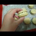 Yi-xuan LU 的 義式茶香馬卡龍-外層焙茶內餡抹茶超幸福♡ cooksnap