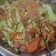 Cooksnap dari احمد التميمي untuk resep Bihun Goreng Sayur Nyemek (wortel, sawi, kubis) Bumbu Sop