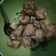 Cooksnap dari Geno Finit untuk resep Tahu cabe garam crispy simple