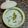Ekta Rangam Modi's cooksnap of when they made ડુંગળીનું રાઇતું (Onion Raita Recipe In Gujarati).