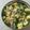 Pina Mandaliya's cooksnap of when they made ખાંડવી (Khandvi recipe in Gujarati).