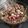 El cooksnap de María Isabel Rodriguez cuando hizo Lengua a la vinagreta.