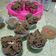 Cooksnap dari @ N ! untuk resep Bolkus Mekar Triple Chocolate